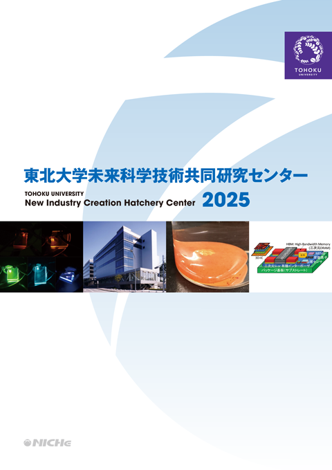 2025年度NICHeパンフレット