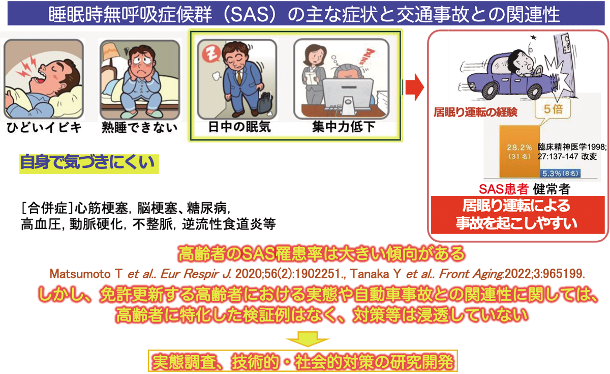 睡眠時無呼吸症候群（SAS）の主な症状と交通事故との関連性
