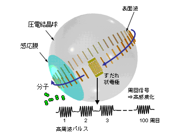 図２ボールSAWセンサ